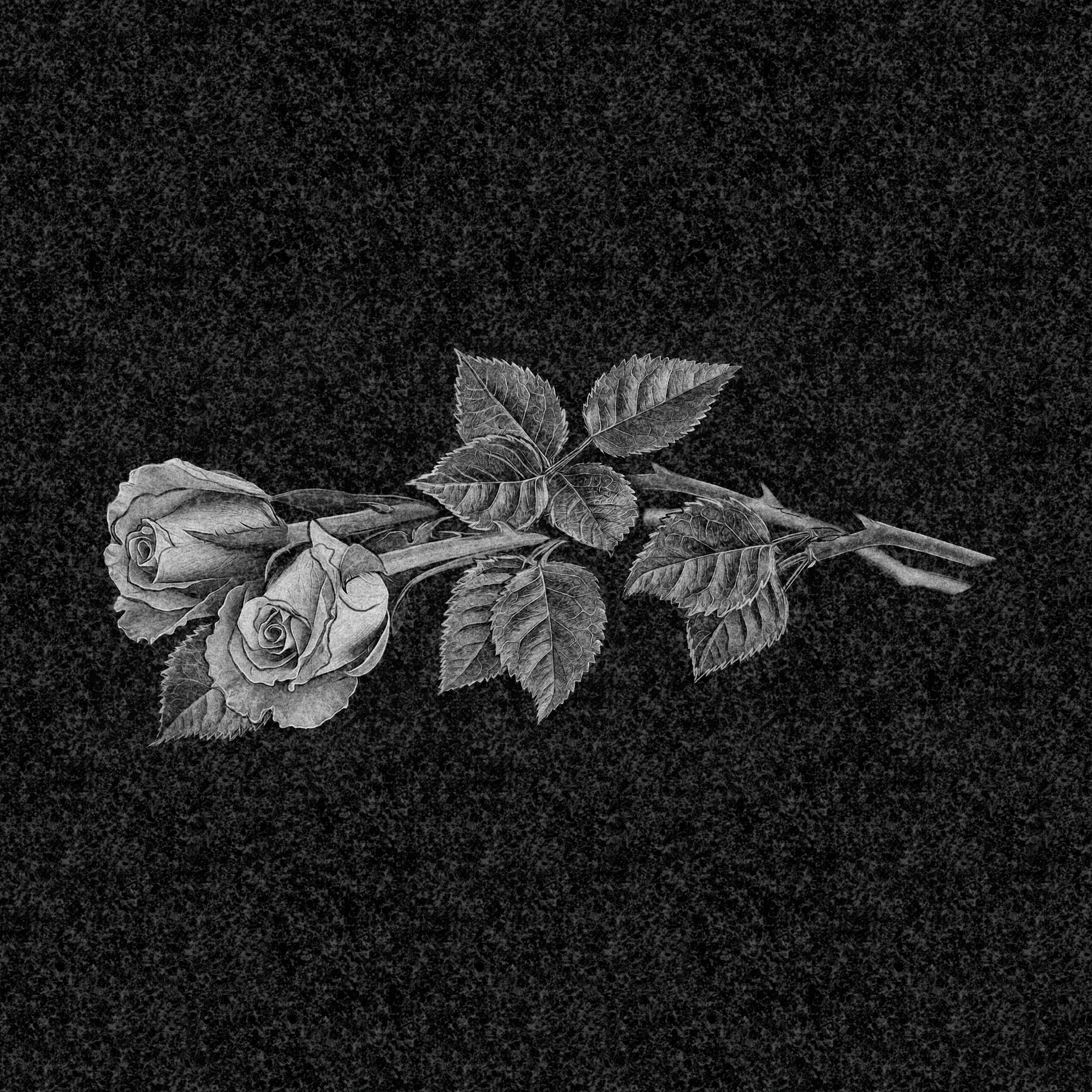 Цветы | Рисунок две розы, ЦВ-021